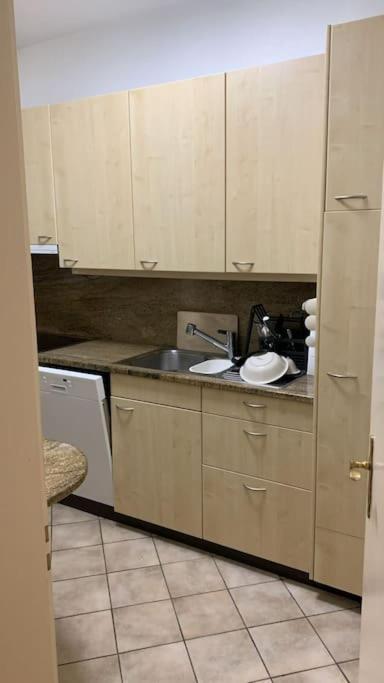 Sailing Apartment Lugano Dış mekan fotoğraf